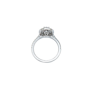 Oval Double Halo